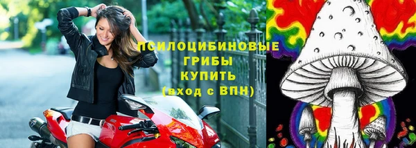 ешки Нея