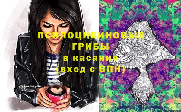 ешки Нея