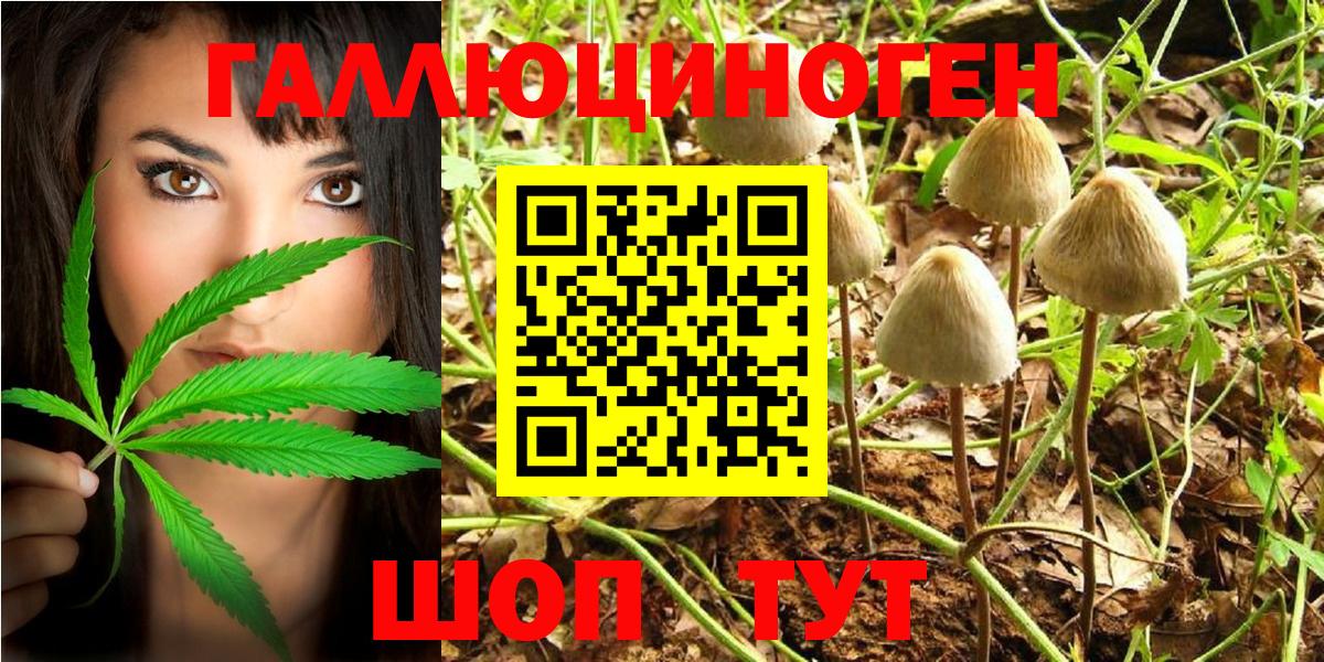 Нижневартовск  Галлюциногенные грибы MAGIC MUSHROOMS  Вход с VPN 