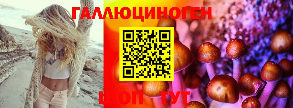 Галлюциногенные грибы Psilocybine cubensis Нижневартовск